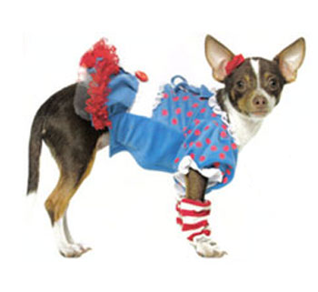 Illustration for article titled The 40 Sluttiest Dog Halloween Costumes